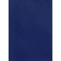 gold sovereign binding cover leathergrain 250gsm a3 navy pack 100