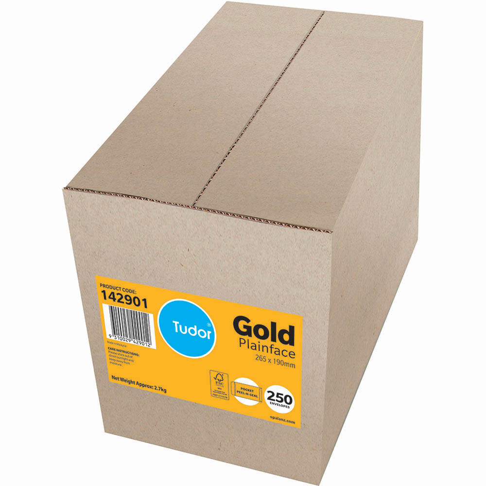 Image for TUDOR ENVELOPES POCKET PLAINFACE STRIP SEAL 80GSM 265 X 190MM GOLD BOX 250 from Ezi Office National Tweed