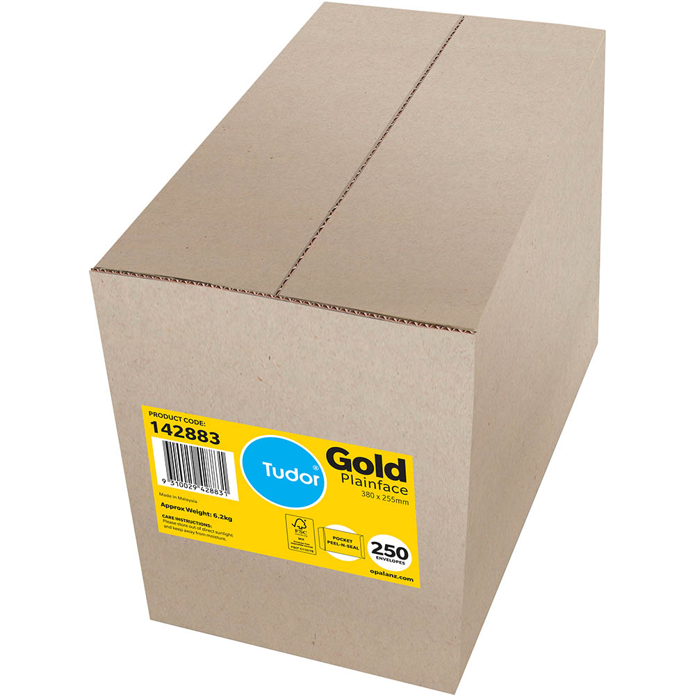 Image for TUDOR ENVELOPES POCKET PLAINFACE STRIP SEAL 100GSM 380 X 255MM GOLD BOX 250 from Office National Barossa