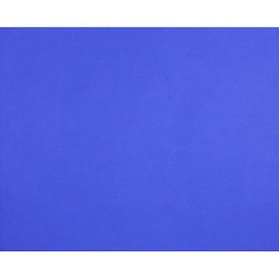 Image for QUILL BOARD 210GSM 510 X 635MM VIOLET PACK 20 from Chris Humphrey Office National