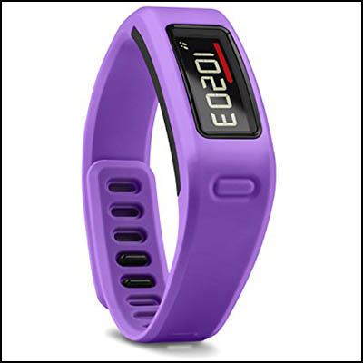 Image for GARMIN VIVOFIT FITNESS WELLNESS TRACKER PURPLE from PaperChase Office National