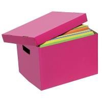 marbig archive box coloured pink
