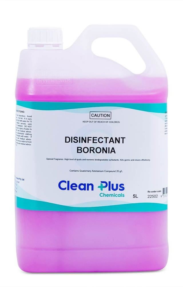 Image for CLEAN PLUS DISINFECTANT BORONIA 5 LITRE from Shoalcoast Home and Office Solutions Office National