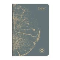 clairefontaine - forever 100% recycled - stapled notebook - a5 - lined - grey
